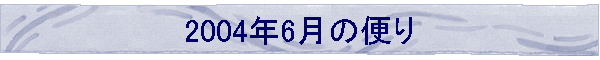 2004N6̕ւ