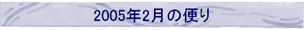 2005N2̕ւ