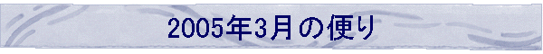 2005N3̕ւ